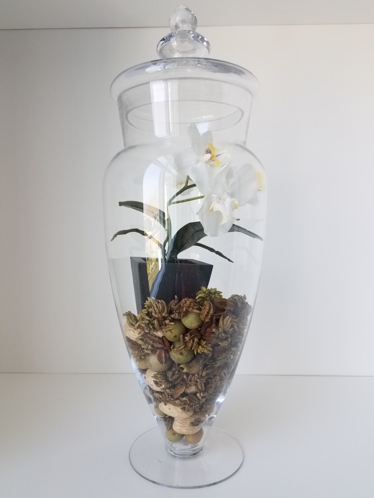 Glass Vase Plant