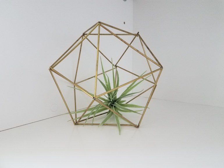 Geometric Orb with Plant